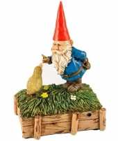 Tuinkabouter en eend met geluid 15 cm